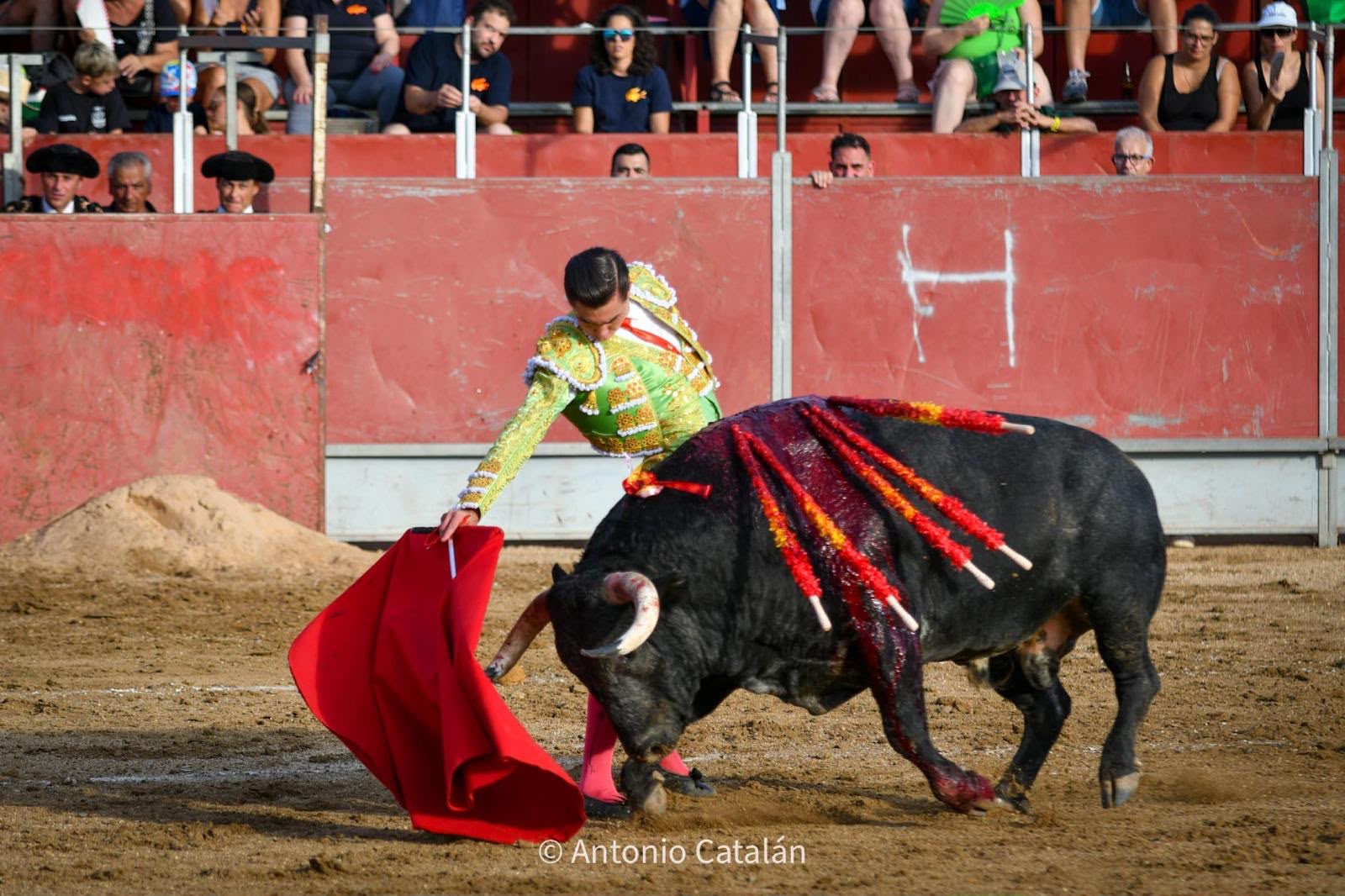 Bruno Aloi — foto 2
