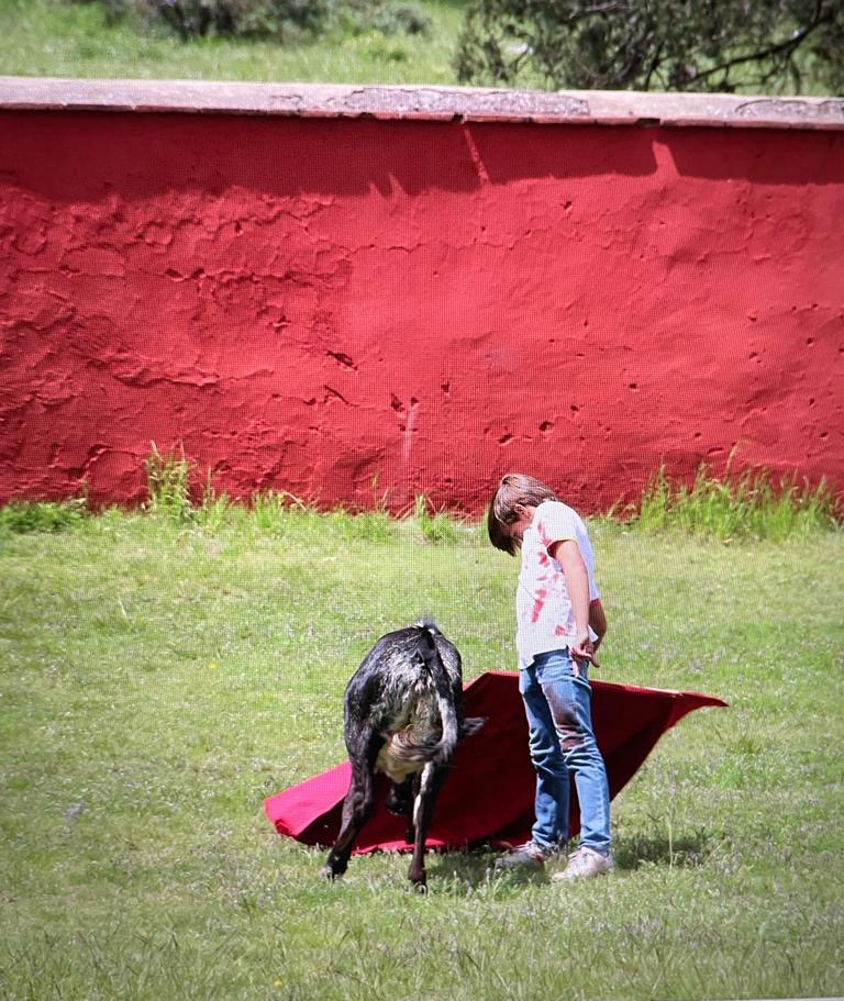Bruno Aloi en tentadero