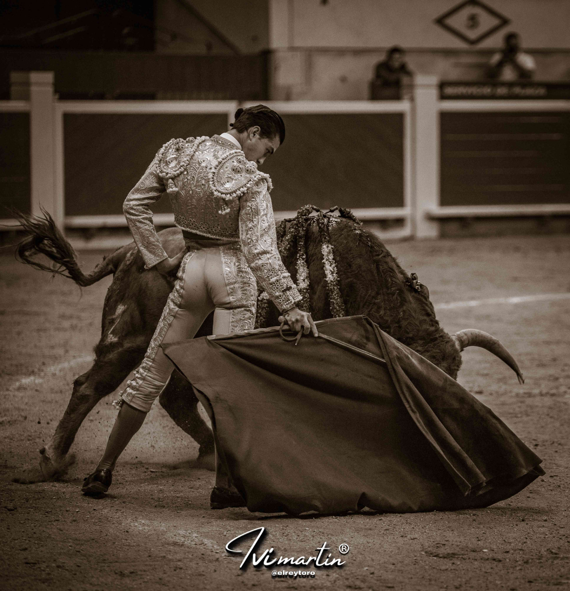 Bruno Aloi — foto 8