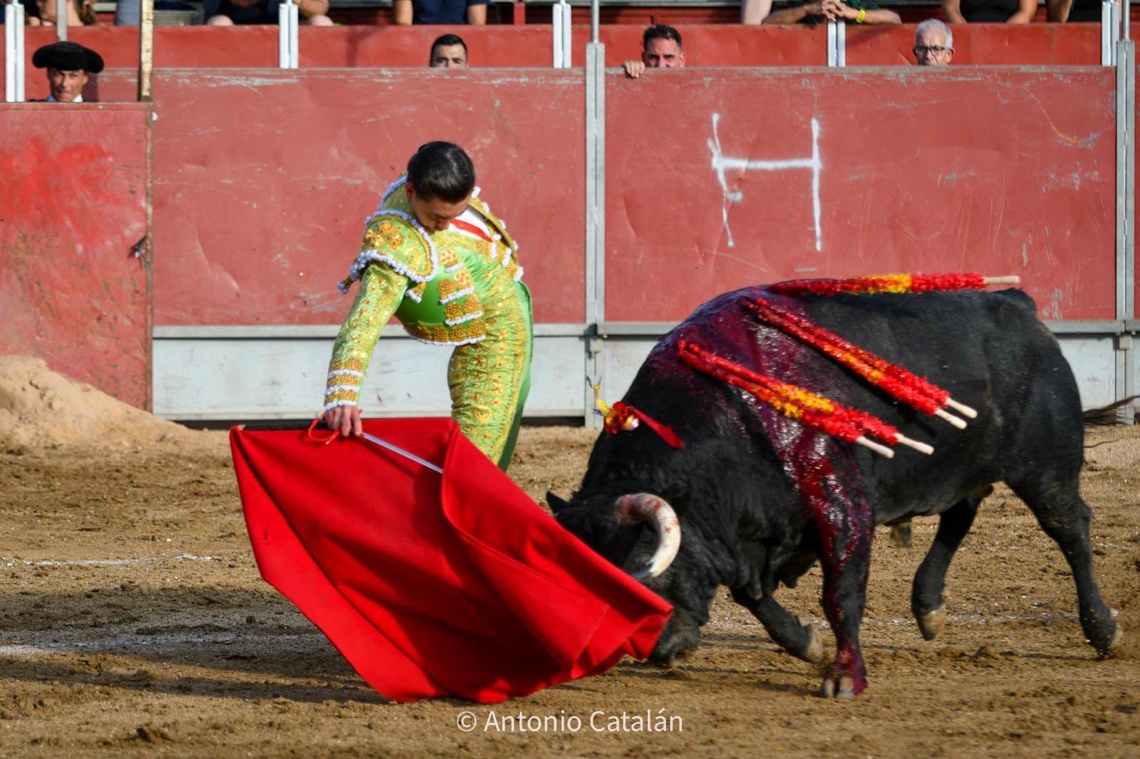 Bruno Aloi — foto 6