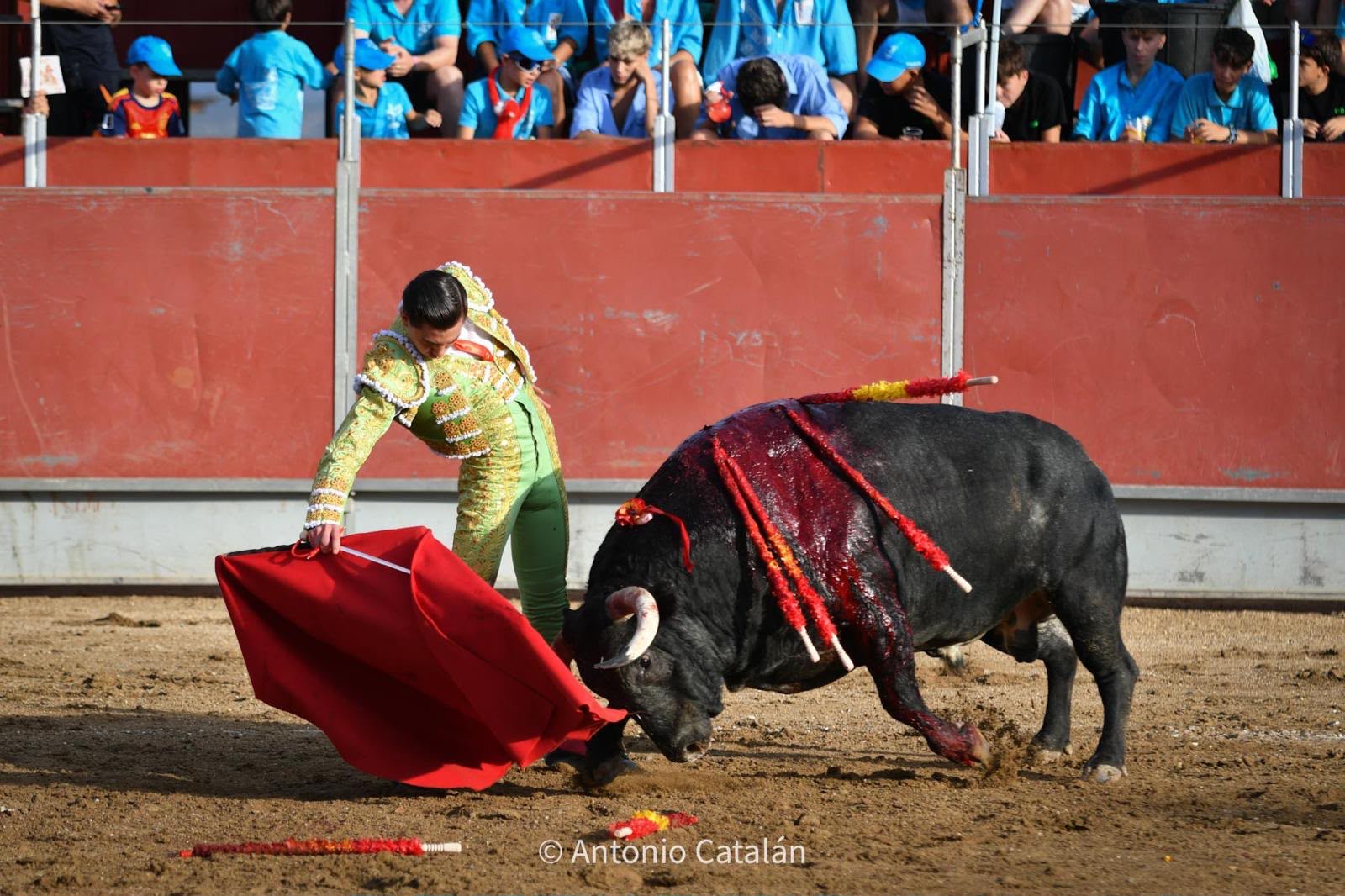 Bruno Aloi — foto 7