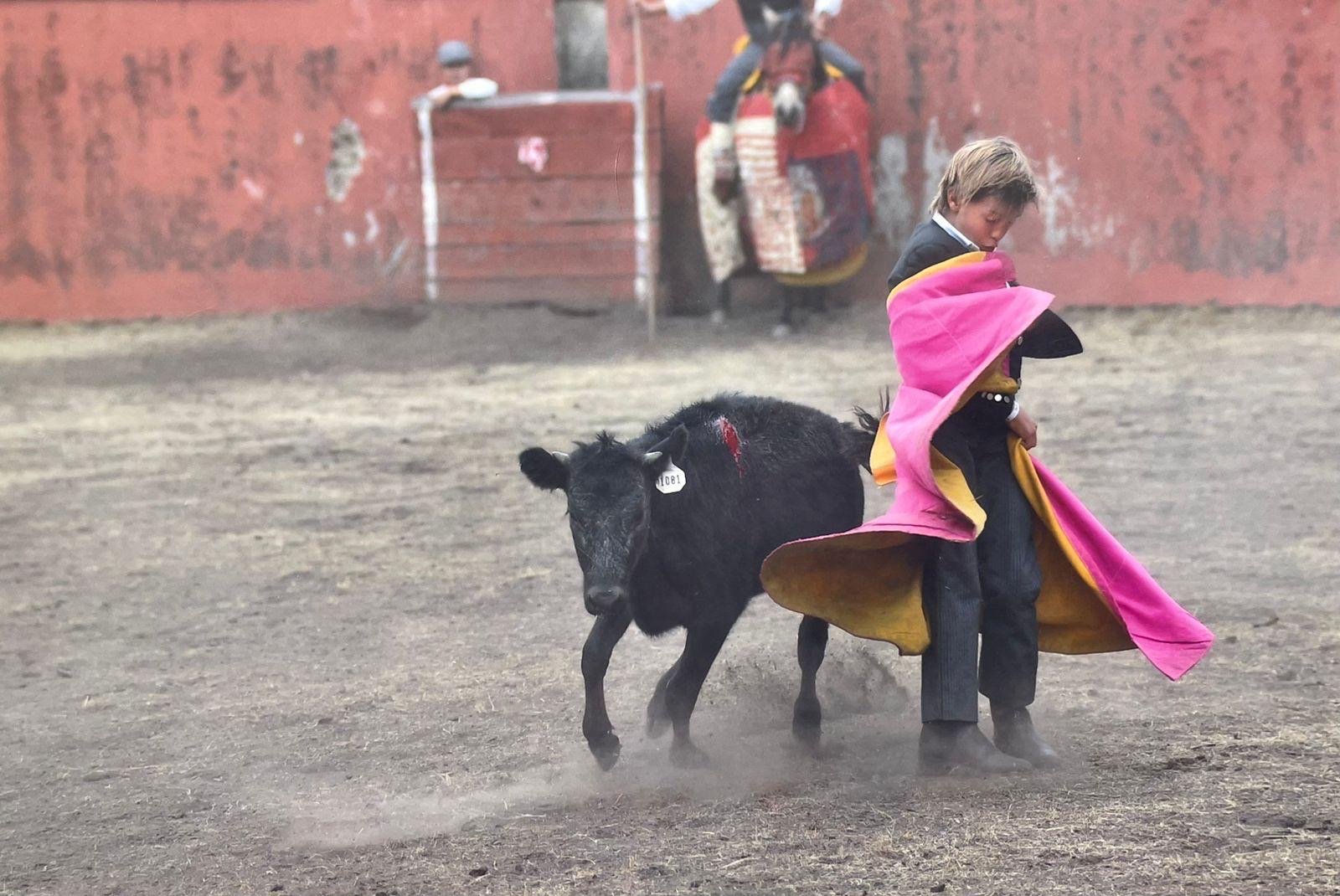Bruno Aloi toreando con capote rosa