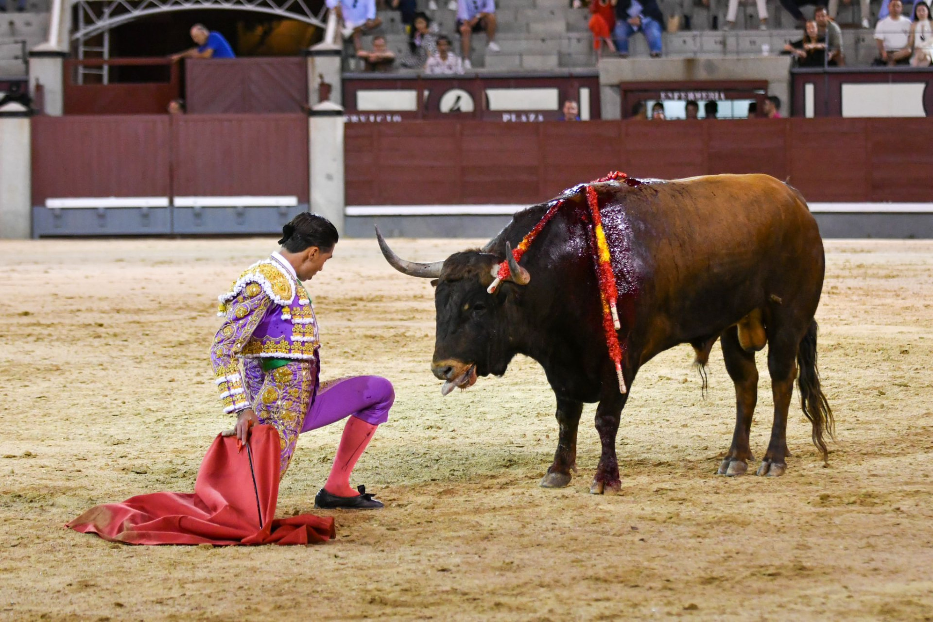 Bruno Aloi — foto 12