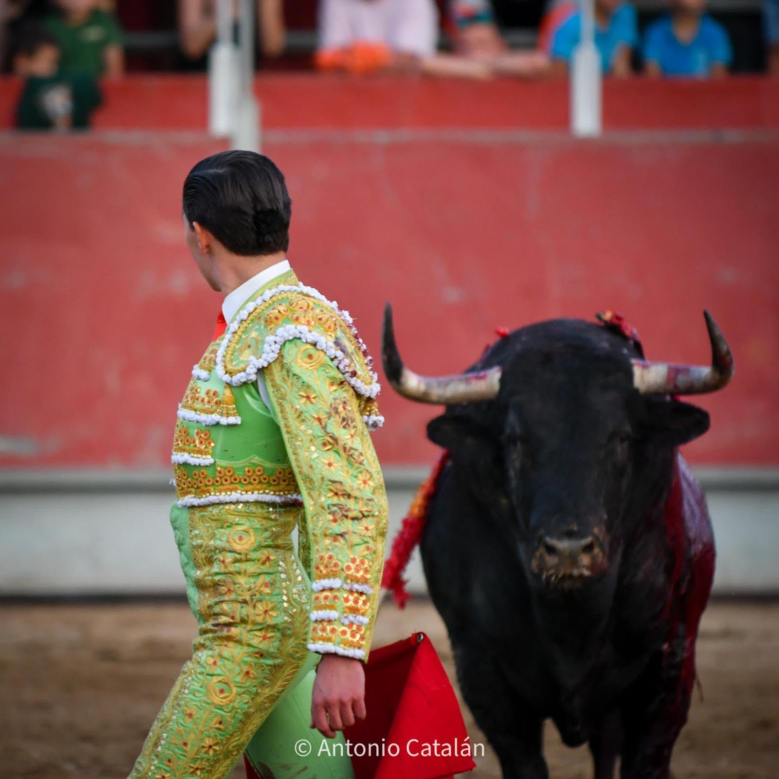 Bruno Aloi — foto 4