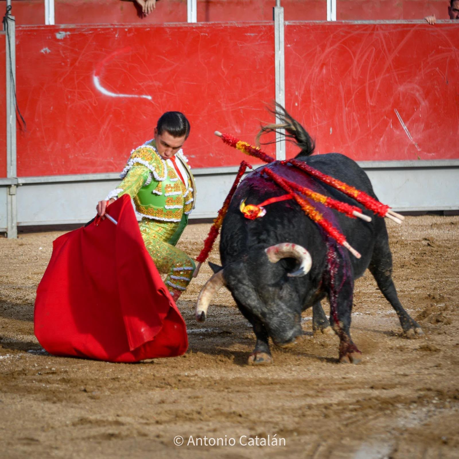 Bruno Aloi — foto 3